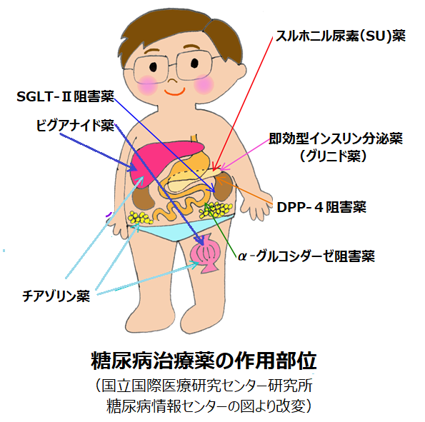 糖尿病の飲み薬について 綾瀬市 海老名市 座間市の原クリニック